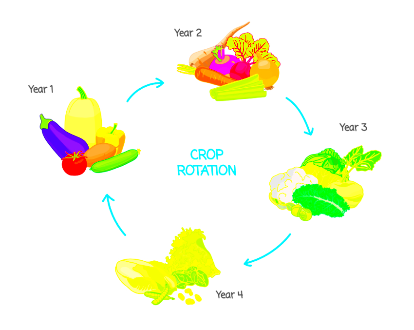 Crop Rotation Guide 2023 Eagrovision