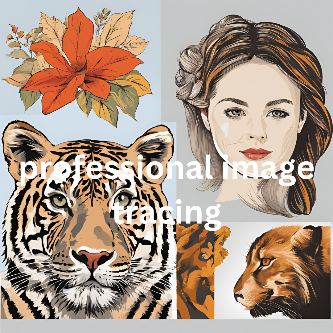 I will provide professional image tracing and vectorization services