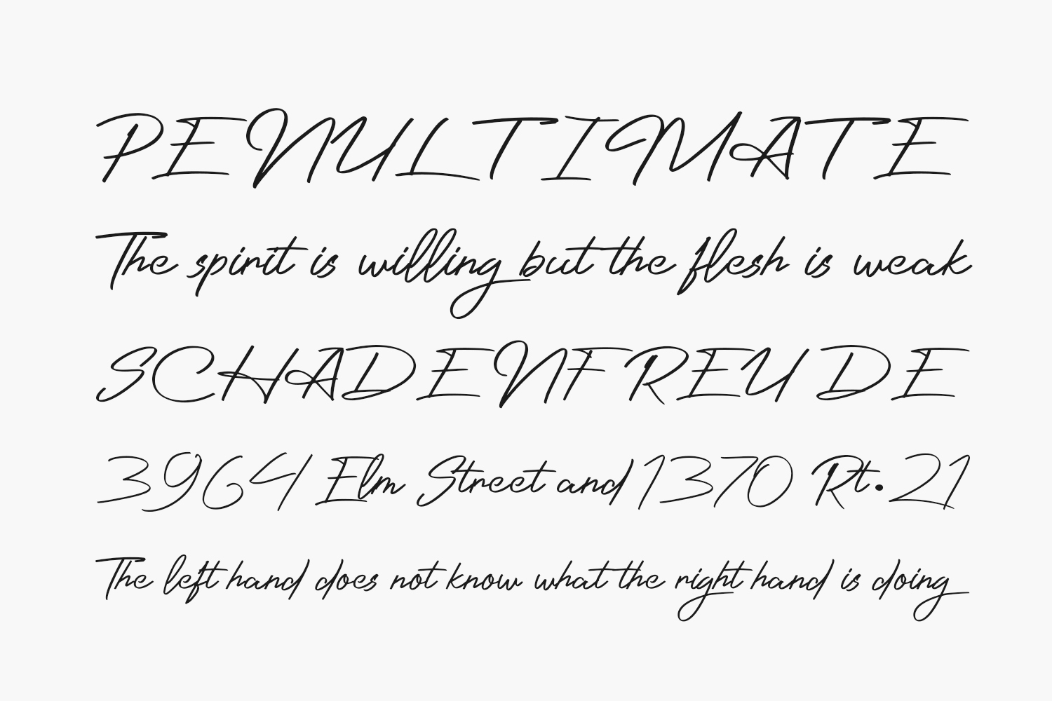 Photographer Script Fonts Shmonts