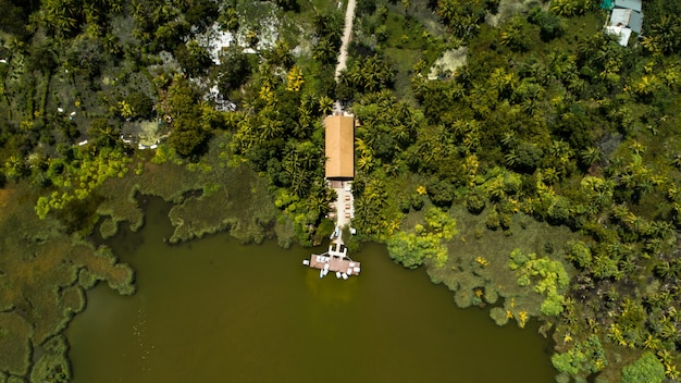 Green Lake on Island Surrounded by Trees and House in Maldives