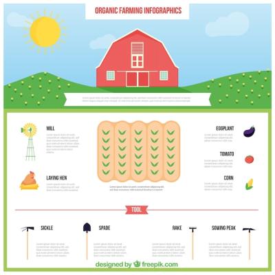 Hand Drawn Farming Infography