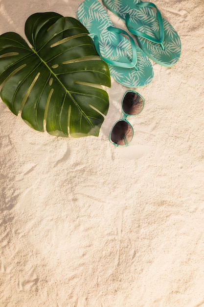 Tropical vacation concept with blue flip flops – Free Download