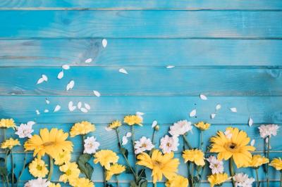 Yellow and White Little Flowers