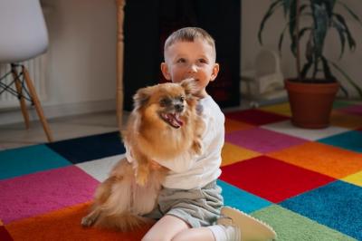 Boy Playing with Dog Indoors – Free Stock Photo Download