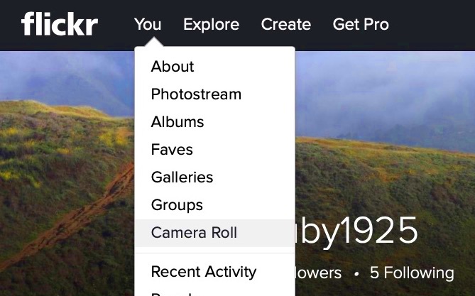 How to Download Your Photos From Flickr Before They Disappear Toms Guide