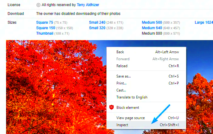 How to Download Flickr Photos which are Disabled by the Owner 