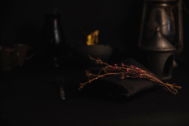 Dried Twigs in Dark Surroundings – Free Download Stock Photo