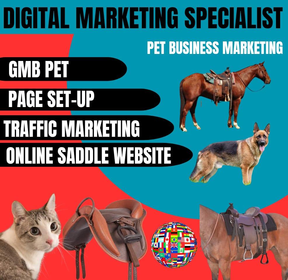 Design an Equestrian Horse Saddle Website Winning Products Hunting