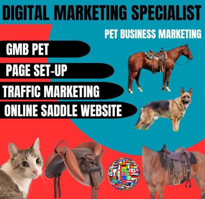 Design an Equestrian Horse Saddle Website Winning Products Hunting