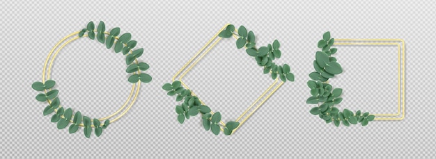 Golden Frames with Eucalyptus Leaves Isolated Set