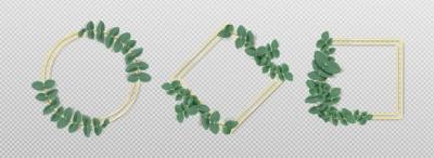 Golden Frames with Eucalyptus Leaves Isolated Set