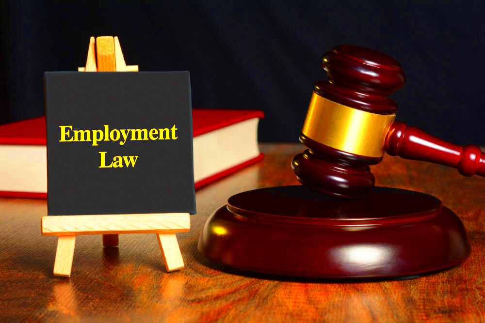 Basic Principles of Employment Law Law Writing Blog