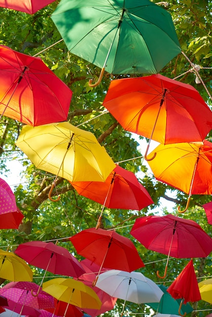 Colorful umbrella hanging from trees – Free Stock Photo