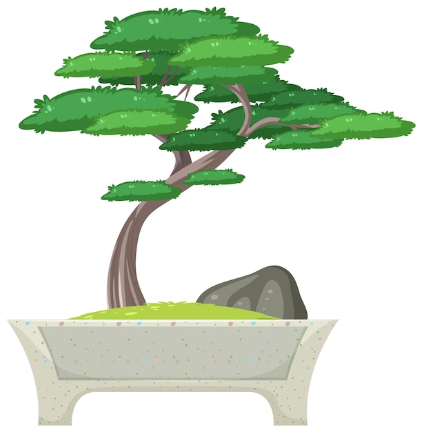 Bonsai Tree in Pot on White Background | Free Download