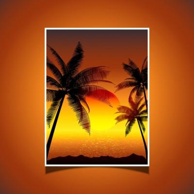 Tropical Sunset with Palm Trees – Free Stock Photo Download