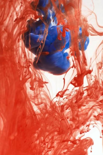 Orange and blue paints dissolve in water, white isolated background. Abstraction in motion, colorful ink circulate in the water