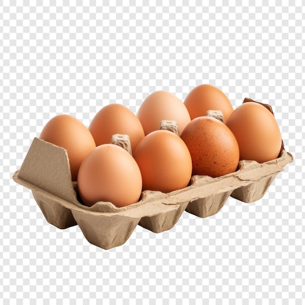 PSD Template: Egg Carton Isolated on Transparent Background