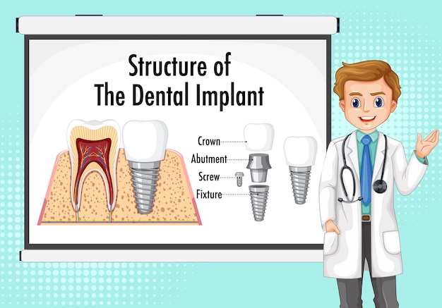 Vector Template: Human Infographic in Dental Implant Structure