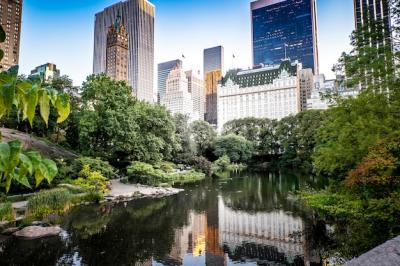 Lake in Central Park, New York, USA for Free Download