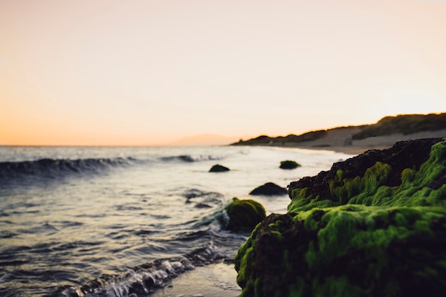 Beautiful Beach Scene at Sunset