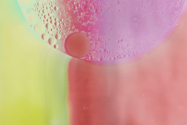 Bubbles over the semi circle shape on colorful background – Free Stock Photo