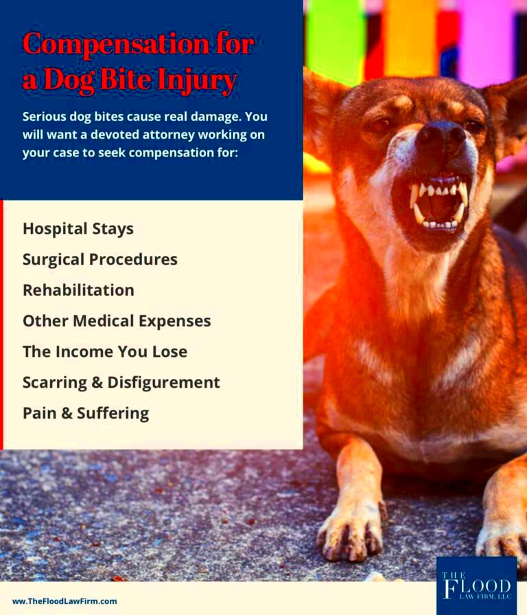 Connecticut Dog Bite Lawyer Dog Bite Injury Attorneys