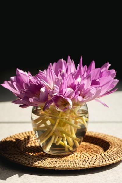 Bunch of Crocus Flowers in a Glass Vase in the Kitchen