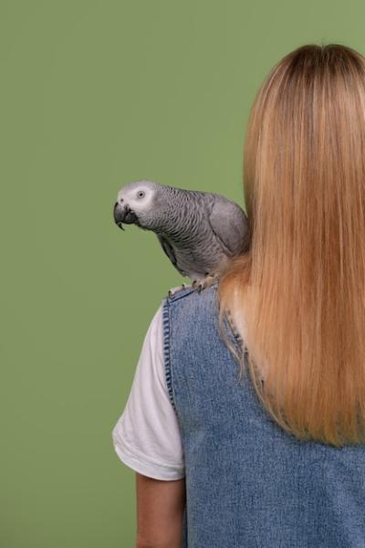 Back view woman with parrot in studio