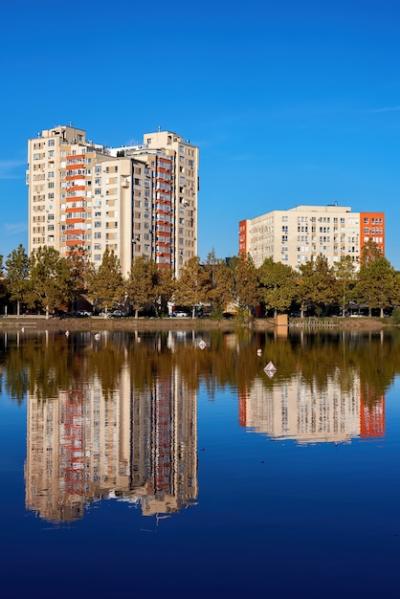 The landscape of a lake in the park: Free Stock Photo Download