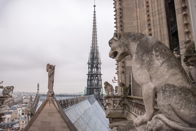 Chimera of the Cathedral Notre Dame de Paris – Free Stock Photo