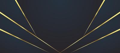 Vector Templates – Abstract Black and Gold Luxury Background Free Download