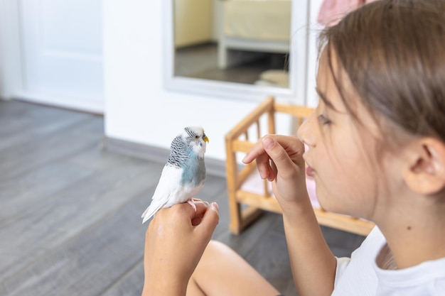 Beautiful Little Girl Playing with a White and Blue Budgie