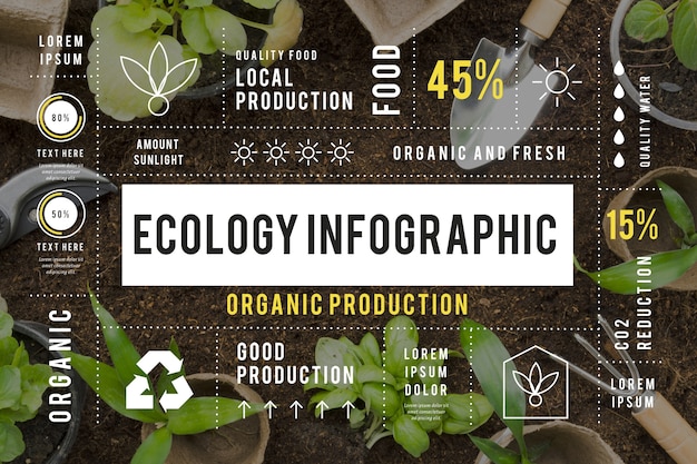 Ecology Infographic Photo: Free Download