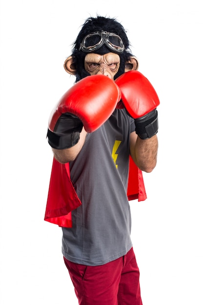 Superhero monkey man with boxing gloves – Free Stock Photo for Download