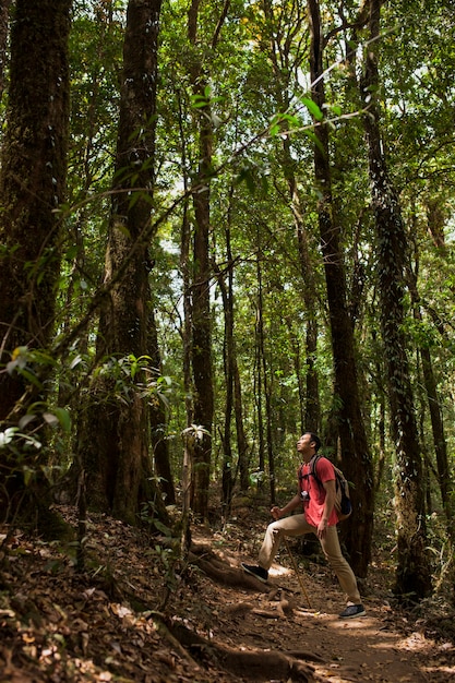 Explore the Untamed Wilderness: Hiker in a Wild Forest