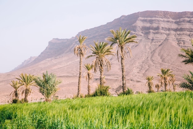 Desert Landscape Free Stock Photo Download