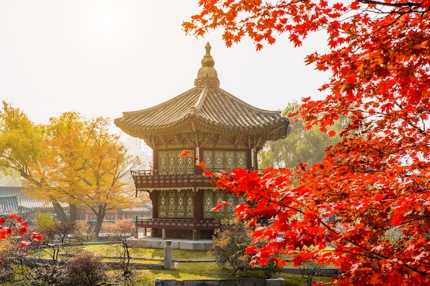 Autumn in Gyeongbokgung Palace, Seoul in South Korea – Free Stock Photo