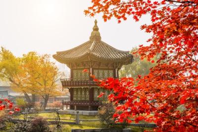 Autumn in Gyeongbokgung Palace, Seoul in South Korea – Free Stock Photo