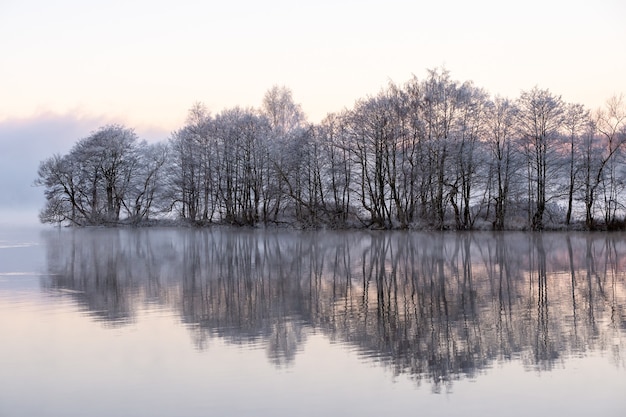 Snowy trees near the lake with reflections in the water on a foggy day – Free Stock Photo Download