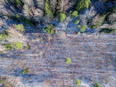 Stunning birds-eye shot of forest scenery in winter