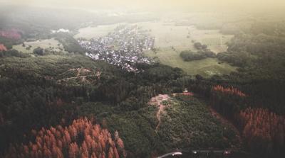 Aerial View of Rural Houses Surrounded by Dense Forest – Free Stock Photo Download