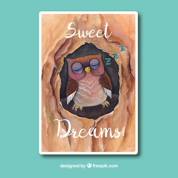 Cute Watercolor Owl Sleeping – Free Download Stock Photo