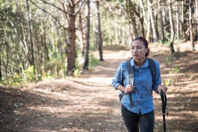 Women hiking traveler with backpack walking through a pine tree forest