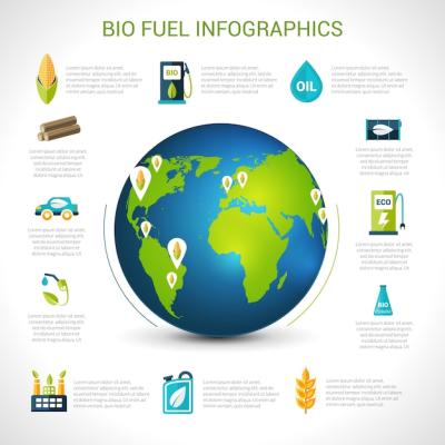 Bio Fuel Infographics