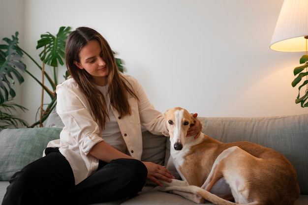 Woman with greyhound dog at home on the couch