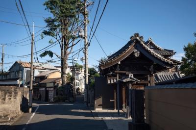 Tokyo Cityscape in Daytime – Free Download