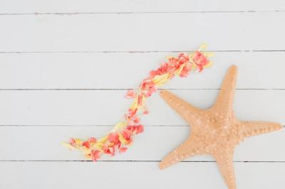 Top View Petals and Starfish on Wooden Background