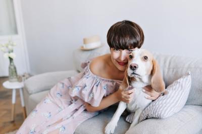 Smiling Girl in Pink Dress Playing with Beagle Dog at Home