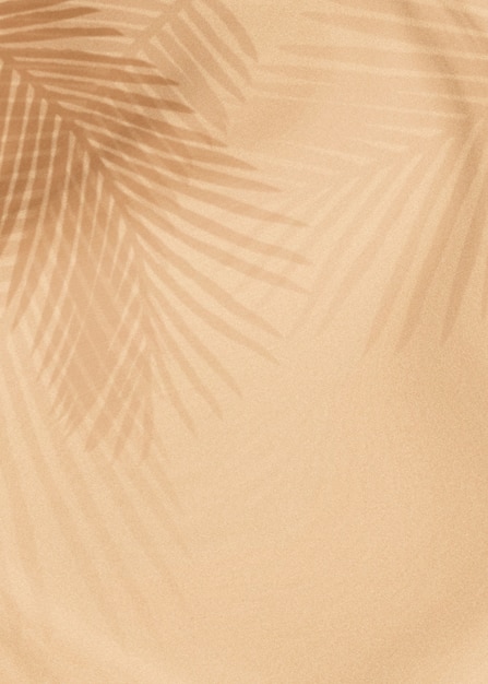 Palm leaves shadow on a beige background – Free Stock Photo Download