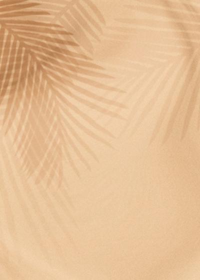 Palm leaves shadow on a beige background – Free Stock Photo Download